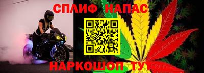 spice Тула