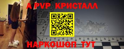 СК Будённовск
