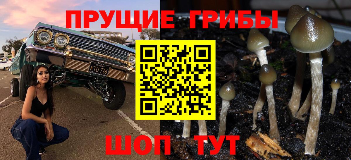 Галлюциногенные грибы мицелий Миасс