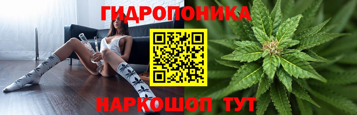 Бошки Шишки SATIVA & INDICA  Вход с VPN  Миасс  Каннабис SATIVA & INDICA  Конопля индика 